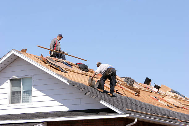 Best Asphalt Shingle Roofing  in West Fairview, PA